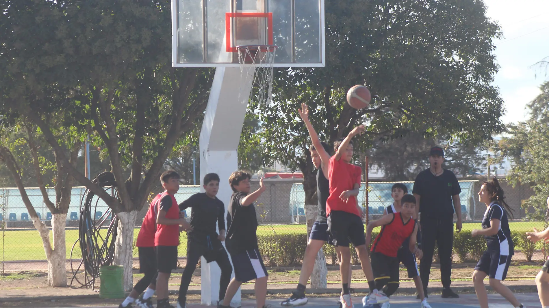 TGO BASQUET (1)